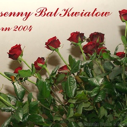 2004-04-24 Blumenball in Aspern
